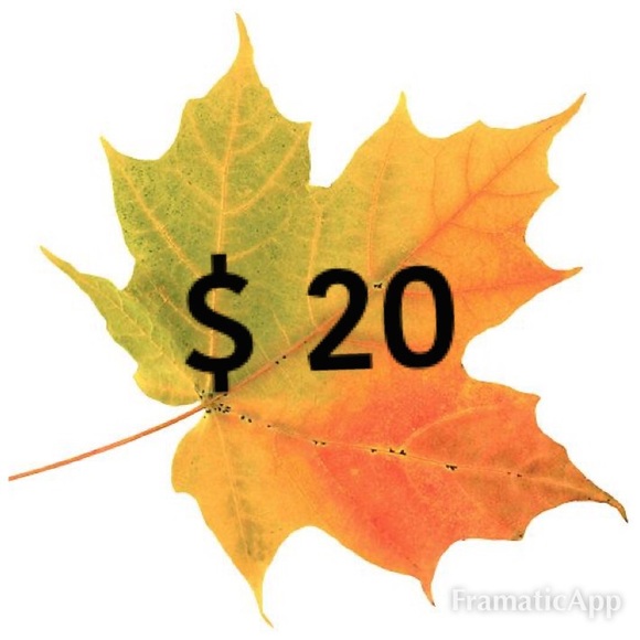 “LIKE” & “BUNDLE” for private discounts - Picture 8 of 16